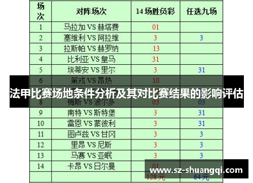 法甲比赛场地条件分析及其对比赛结果的影响评估
