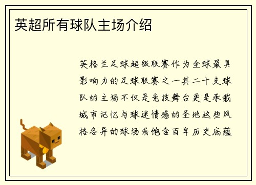 英超所有球队主场介绍